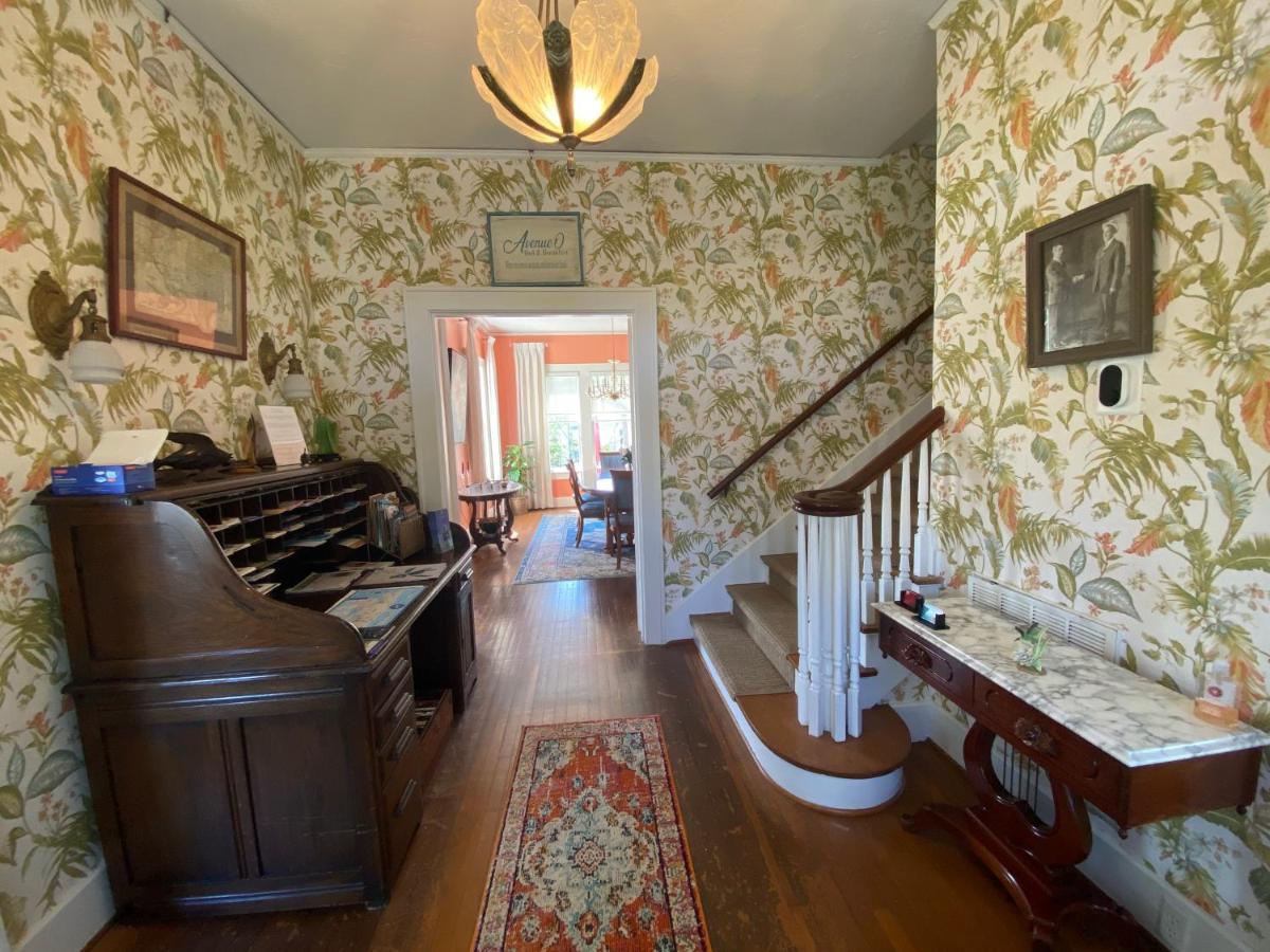 Avenue O Bed And Breakfast Galveston Ngoại thất bức ảnh
