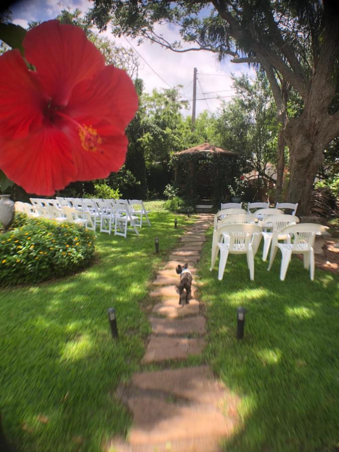 Avenue O Bed And Breakfast Galveston Ngoại thất bức ảnh